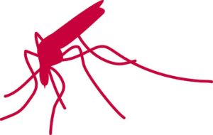 uitheemse muggen